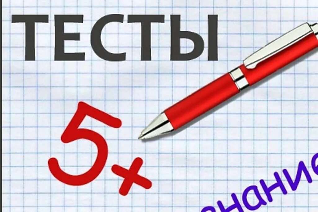 Тест. Решение тестов. Тест картинка. Решает тест.