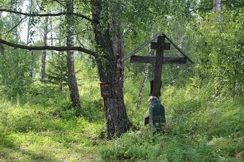 Погода в левкиево шаховская