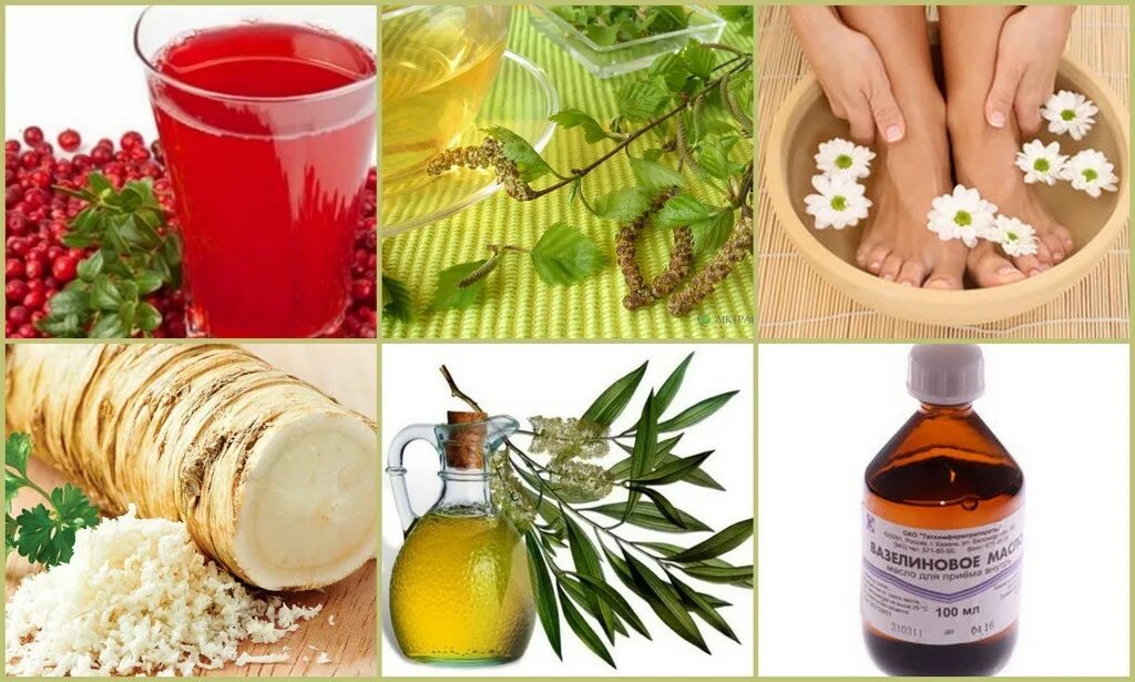 настой при подагре