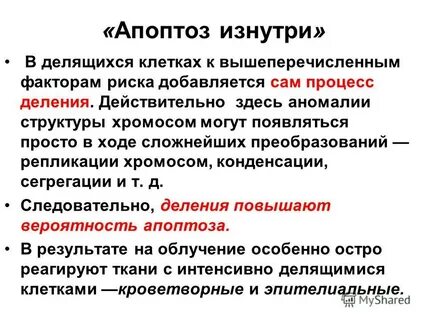 Генетический контроль процесса апоптоза
