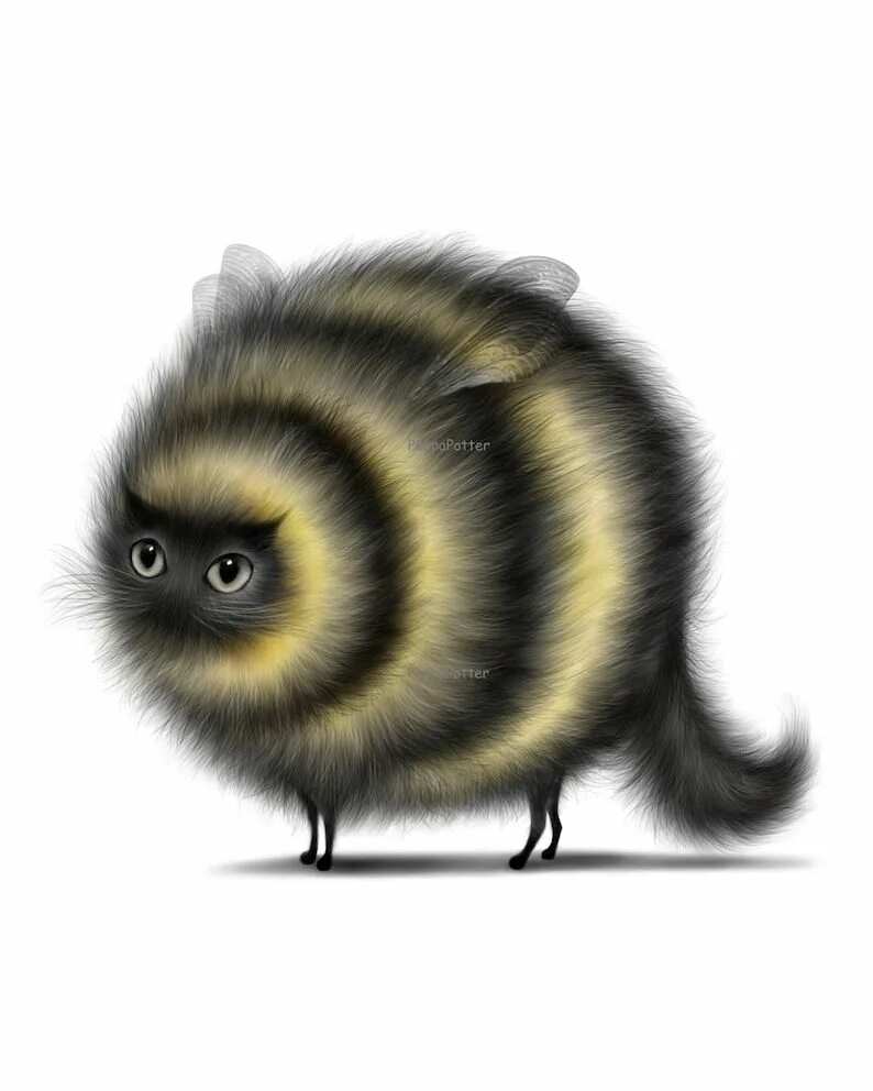 Кошка пчела. Кот в костюме пчелки. Кот в костюме пчелы. Костюм кошки. Кот пчела.