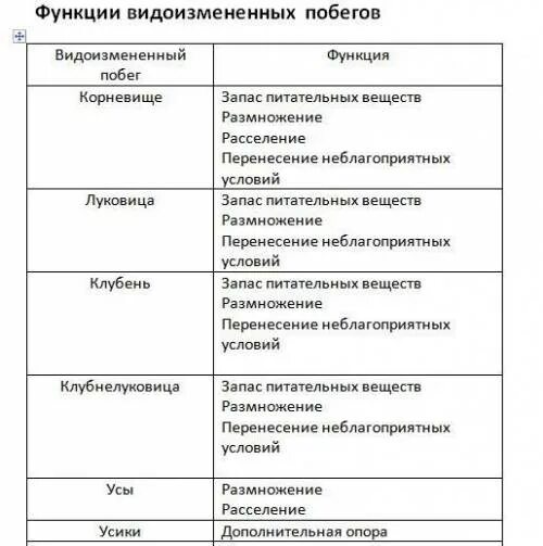 6.2 какую функцию он выполняет ответ