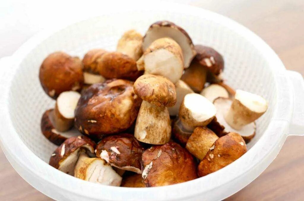 Можно ли готовить грибы. Вареные белые грибы. Грибы белые отварные. Отваренные белые грибы. Шампиньоны отварные.