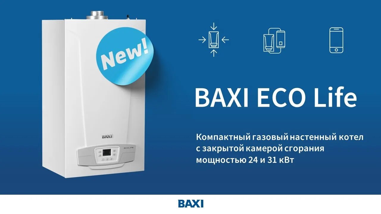 Baxi eco life двухконтурный. Baxi Eco Life 24f. Baxi Eco Life 1.24f. Baxi Life 24 f. Baxi Life 1.24f.