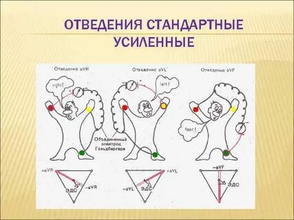 Система сбора и отведения