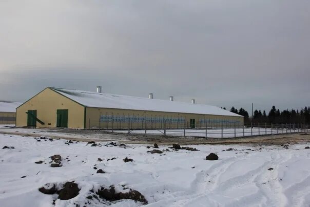 "The DairyNews": ООО "СК АгроБау" завершило строительство молочного комплекса в 