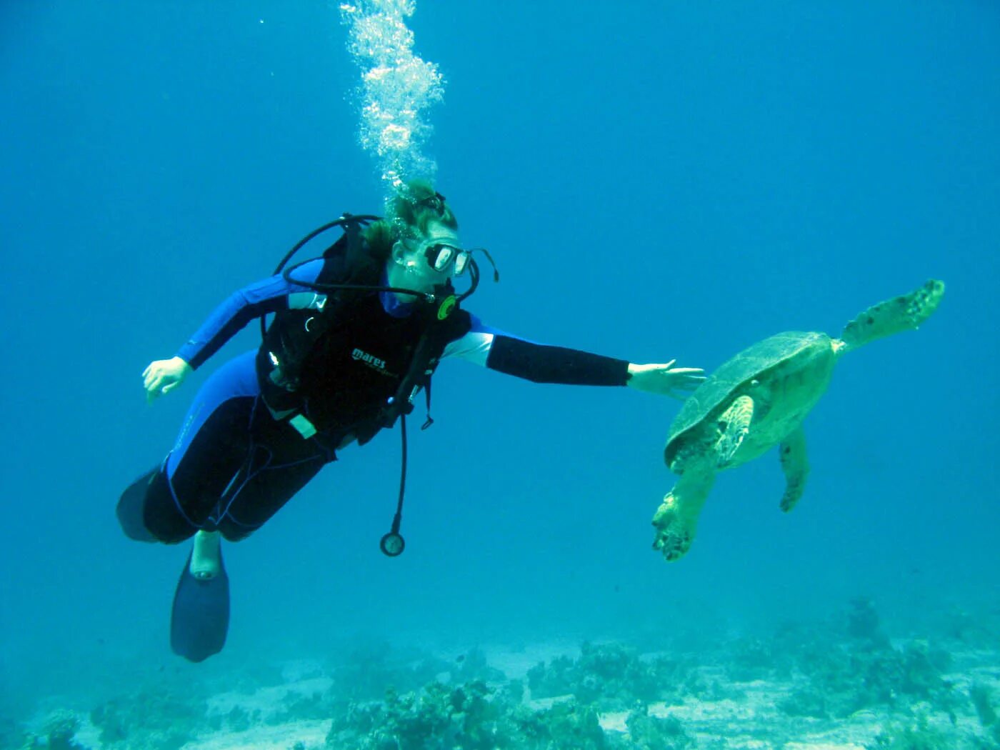 развлечения развлечение дайвинг. морские развлечения. подводный шарм эль шейха. развлечения развлечение дайвинг. дайвинг шарм-эль-шейх.