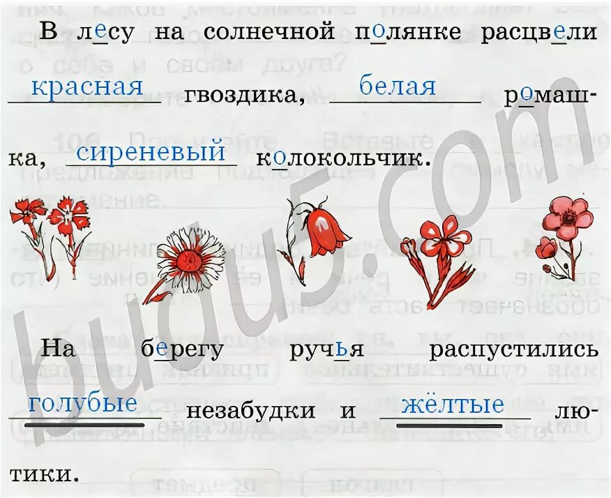 В лесу на солнечной полянке расцвели. В лесу на солнечной Поляне расцвели.