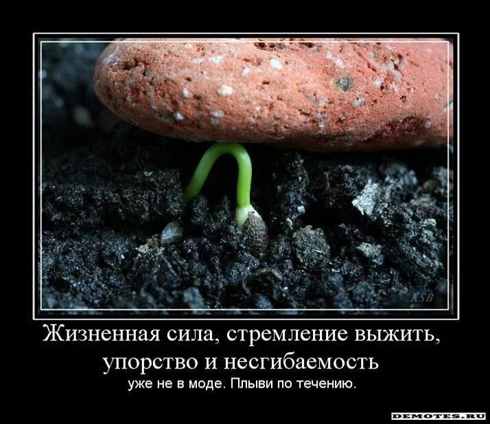 Кому тяжело в жизни. Преодоление трудностей демотиватор. Тяжелая жизнь картинки. Демотиваторы жизненные. Мотиваторы и демотиваторы.