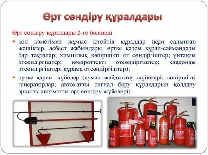 Сексуалды жетілген балапан