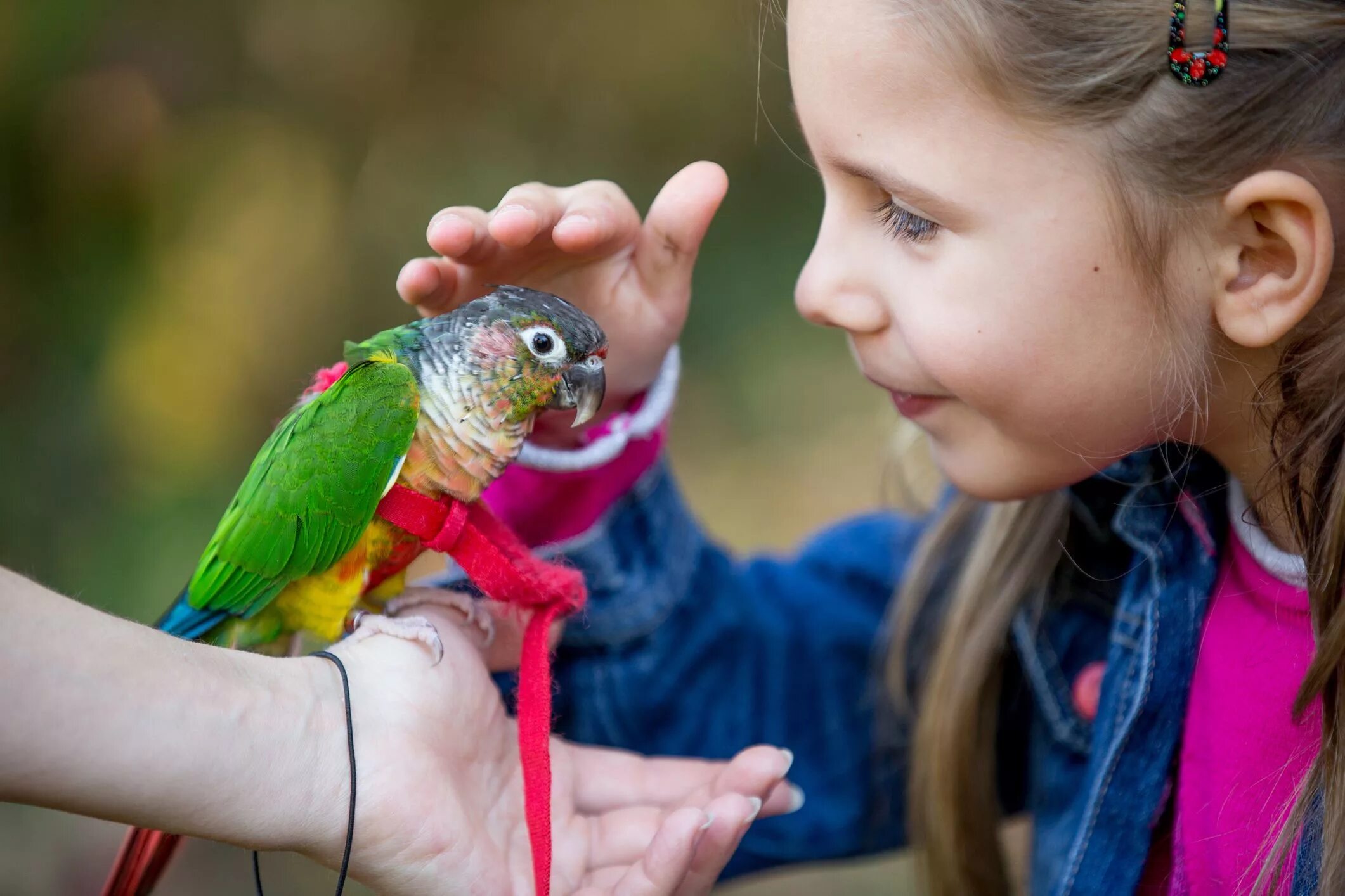 Birds children weather. Попугай для детей. Ребёнок с экзотическими животными. Ребенок с попугаем.