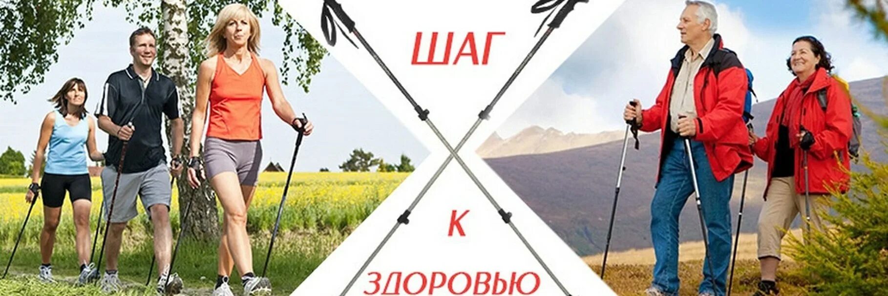 Спортивные пожилые люди. Скандинавская ходьба проект. Скандинавская ходьбадляпожылых. Группа здоровья в орске для пенсионеров скандинавская ходьба. Палки для скандинавской ходьбы.