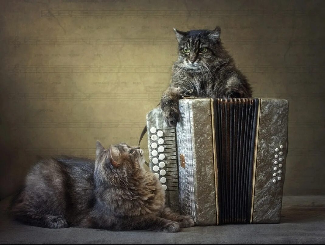 Вася понимаешь. Совсем замотался. Пытаться мем. Вася понимаешь. Как выглядит армия белоруссии сегодня техника и вооружение.