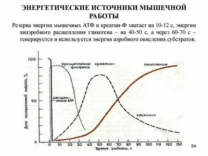 Энергетические режимы