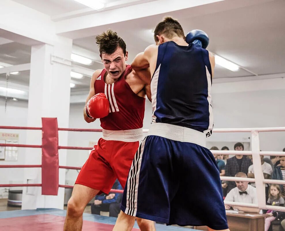 моды на мелан сан бокс