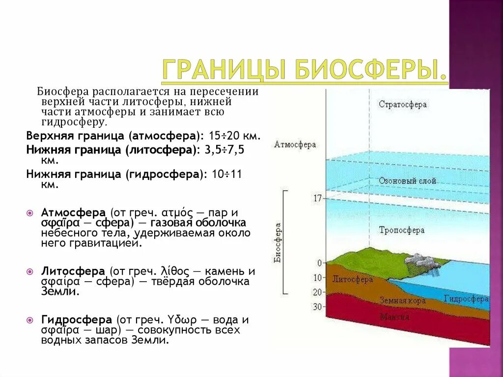 Биосфера – оболочка земли. Границы биосферы.. Границы биосферы атмосфера гидросфера литосфера таблица. Атмосфера гидросфера литосфера Биосфера таблица. Биосфера оболочки земли таблица. В чем заключается влияние организмов на литосферу