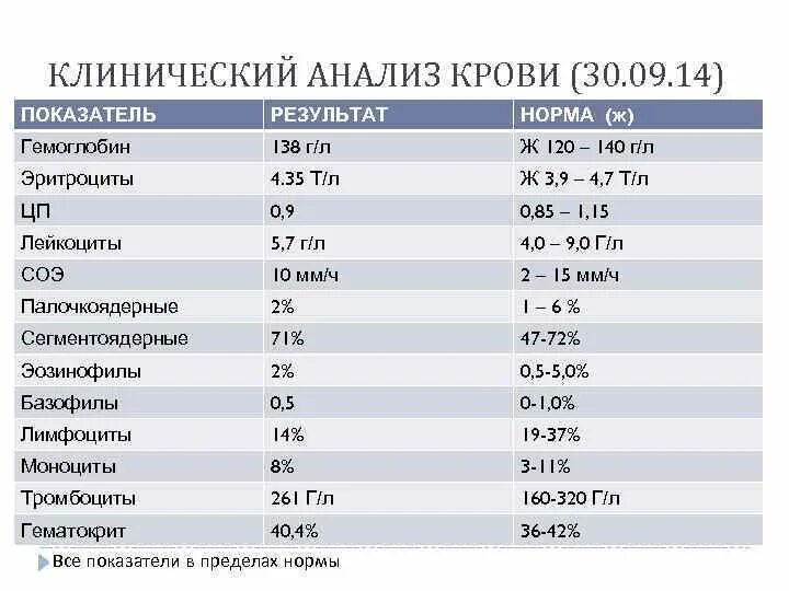 Общий анализ крови что туда входит