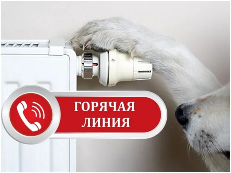 Отопительный линия. Номер телефона горячей линии по включению отопления. Линия по вопросам отопления. Линия по вопросам отопления. Вопросы отопления.