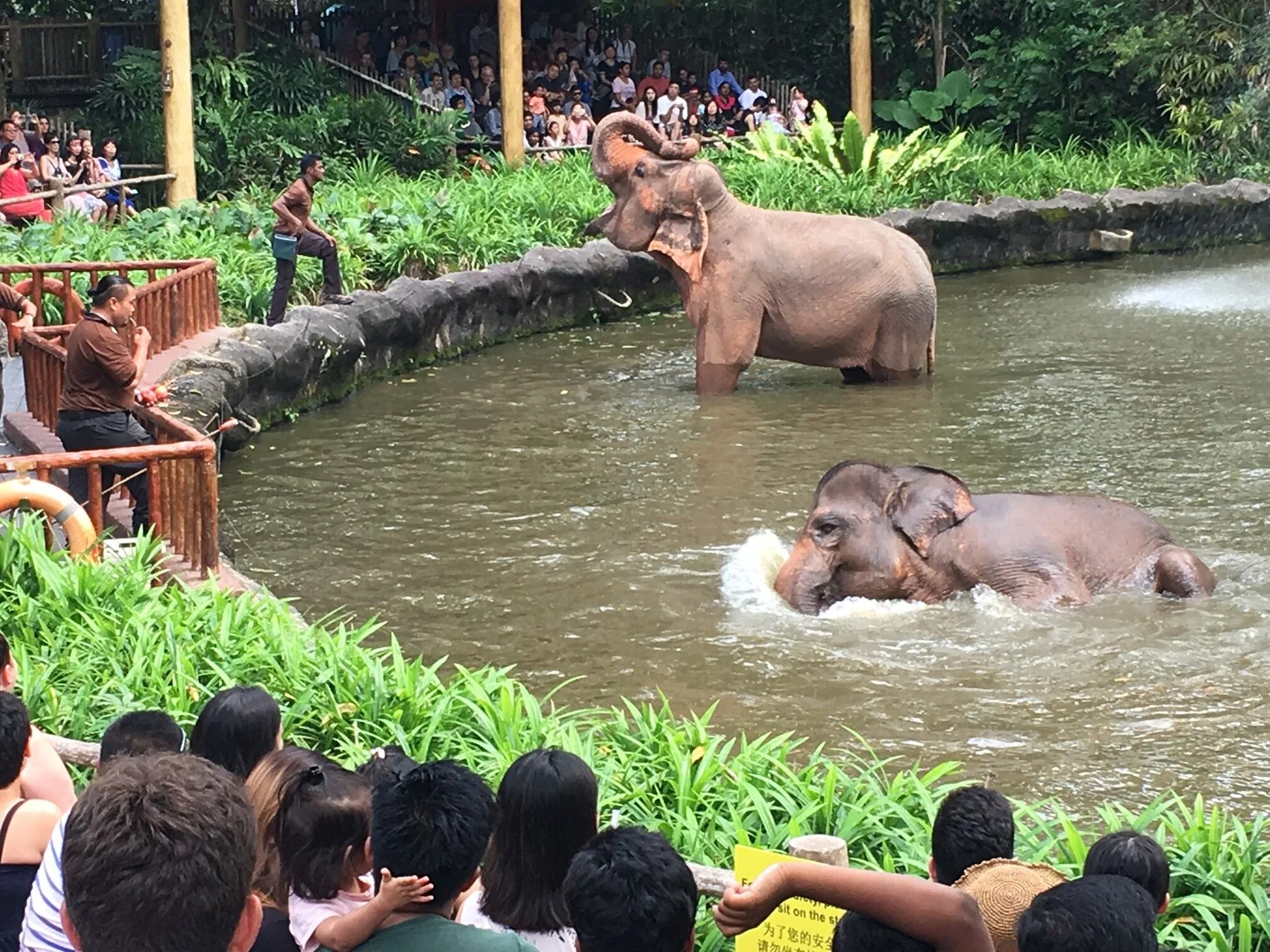 Московские зоопарки лучшие. Сингапур зоопарк. Зоопарк Сингапура Singapore Zoo. Зоопарк Буэнос-Айреса. Самый лучший зоопарк.