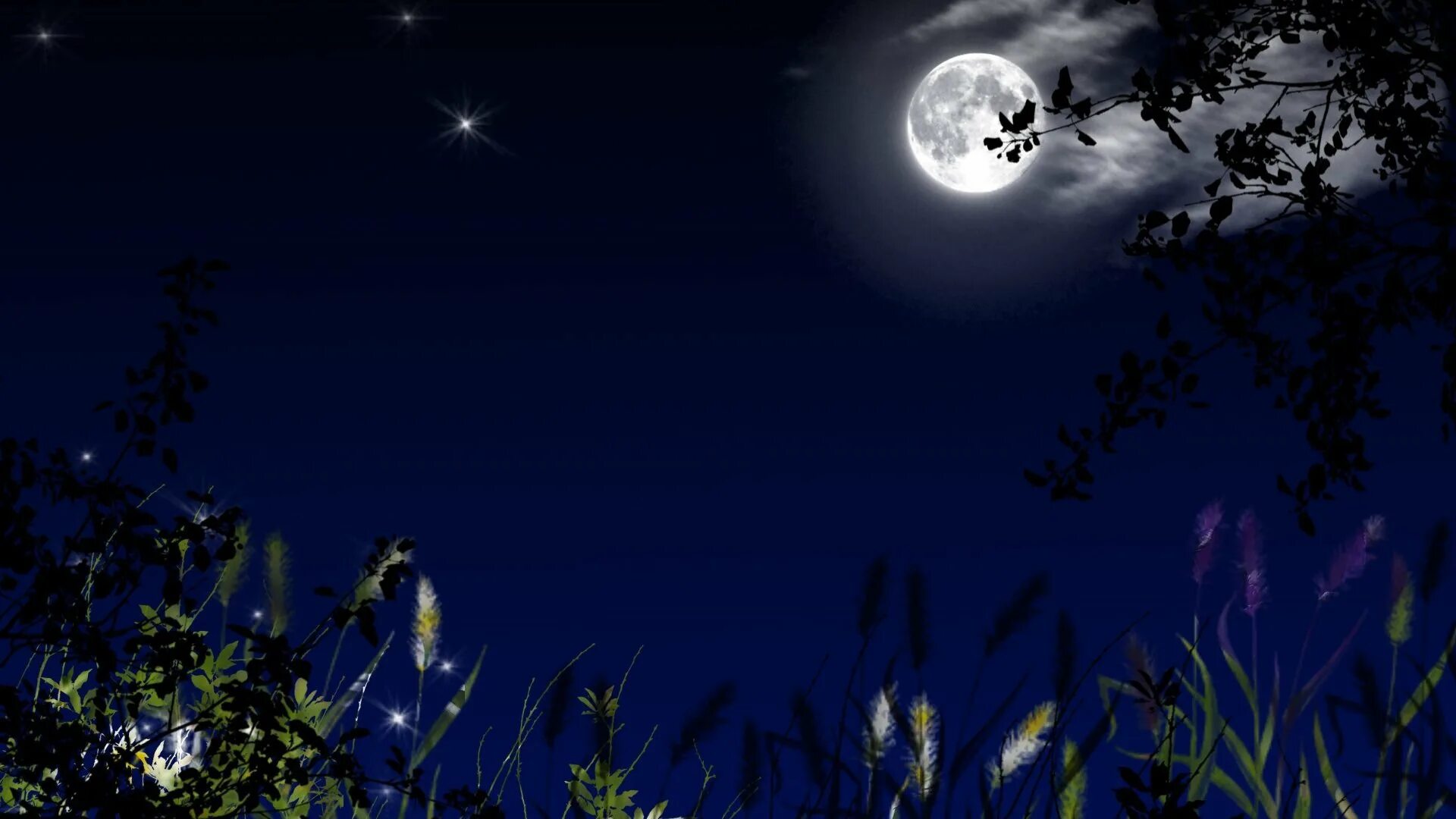 Луна на небе. Ночь Луна звезды. Фон ночь. Фото ночь Луна. Звук летней ночи