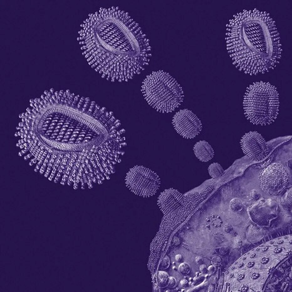 Атакующие клетки. Вирус гриппа атакует клетку. Клетки атакуют рисунок.
