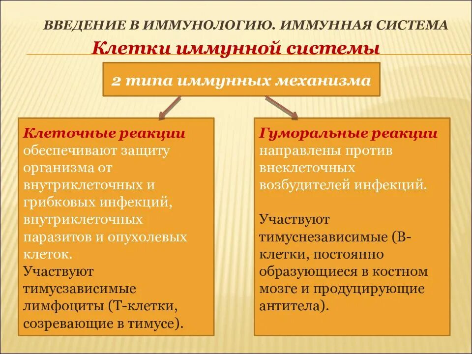 Иммунный контроль. Иммунологические реакции обеспечивает. Иммунные реакции организма обеспечивают. Виды иммунных реакций. Иммунологические реакции организма.