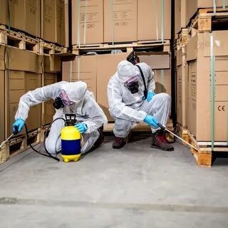 Обеззараживание объекта