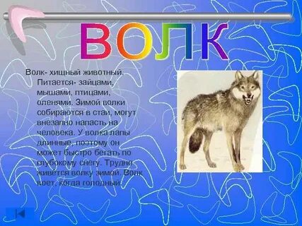 Детский доклад про