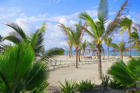 Sand beach resort