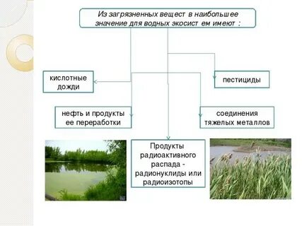 Охраны экосистем