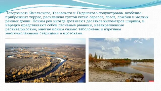 Презентация "Наш Ямал" - внеурочная работа, презентации