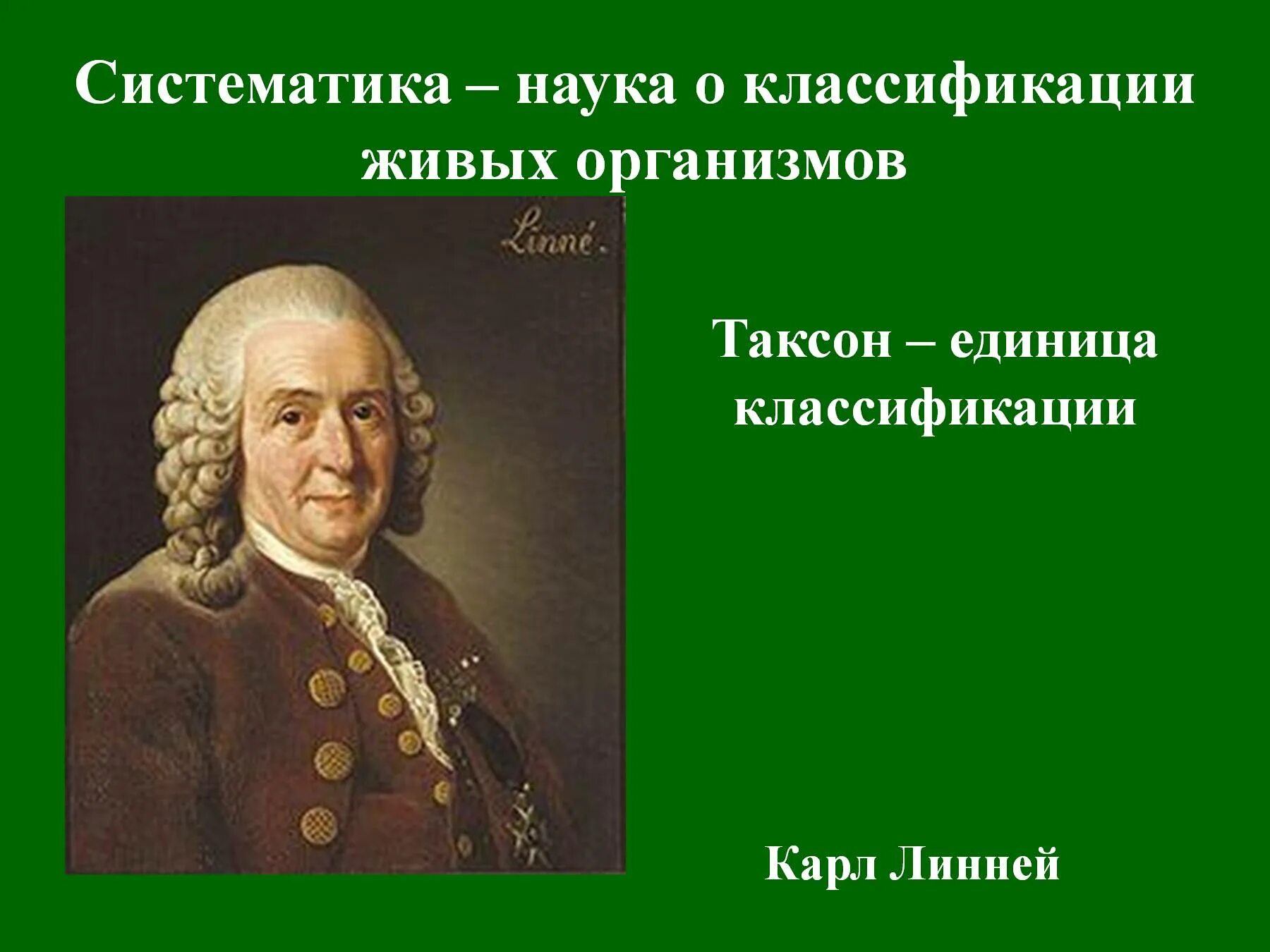 Единицы классификации живых. Систематика живых организмов. линней систематика живых организмов. основной единицей классификации живых организмов служит.