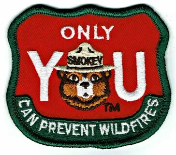 Only bear