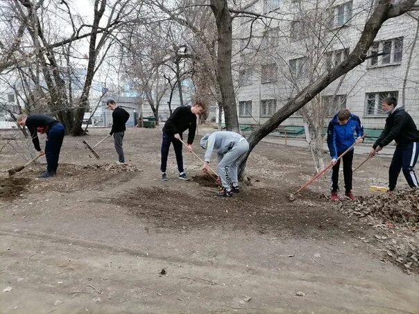 Технический колледж общежитие. Озеленение территории общежития. Волгоградский Технологический колледж общежитие. Волгоградский технический колледж. Хабаровский технический колледж общежитие 1.