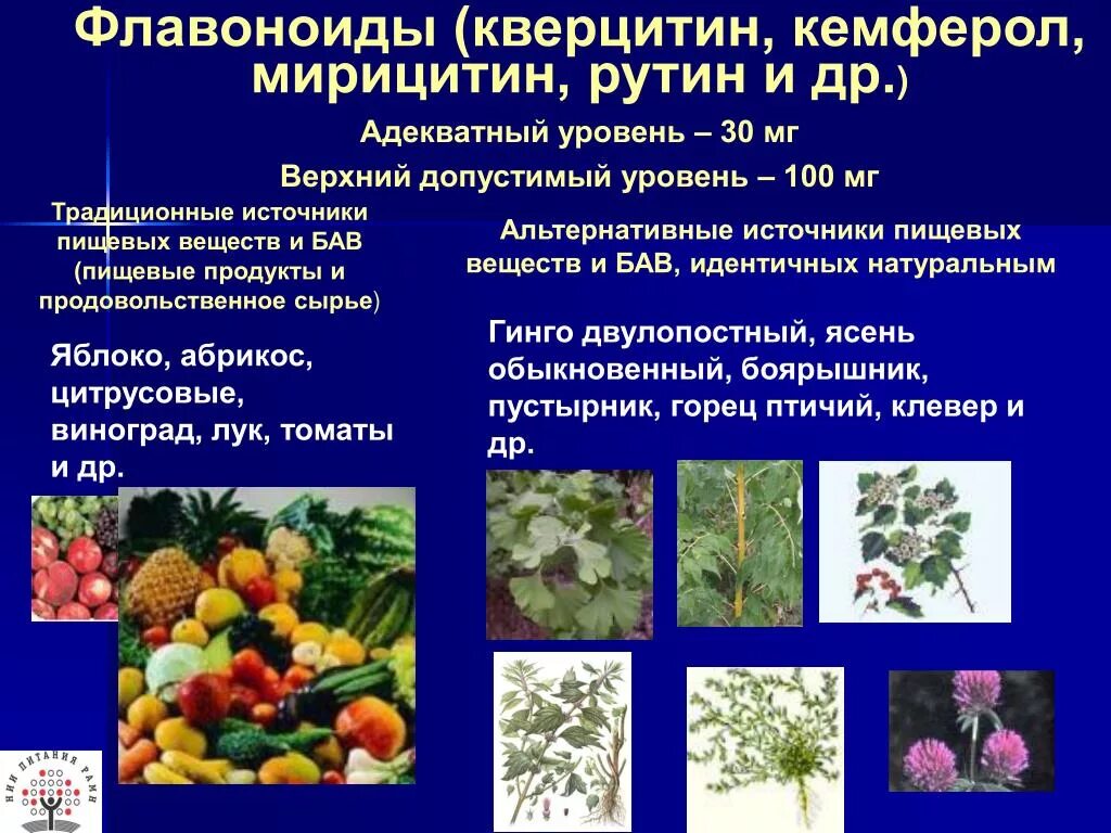 Флавоноиды это простыми. Флавоноиды. Флавоноиды в растениях. Растения содержащие флавоноиды. Флавоноиды в лекарственных растениях.