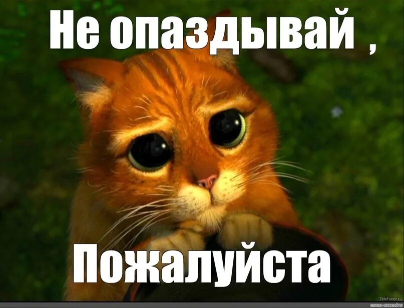 Ну у меня проходит. Мемы теребонька. Я жду мем. Да вы шо мем. Прости мой друг я должен разбудить тебя.