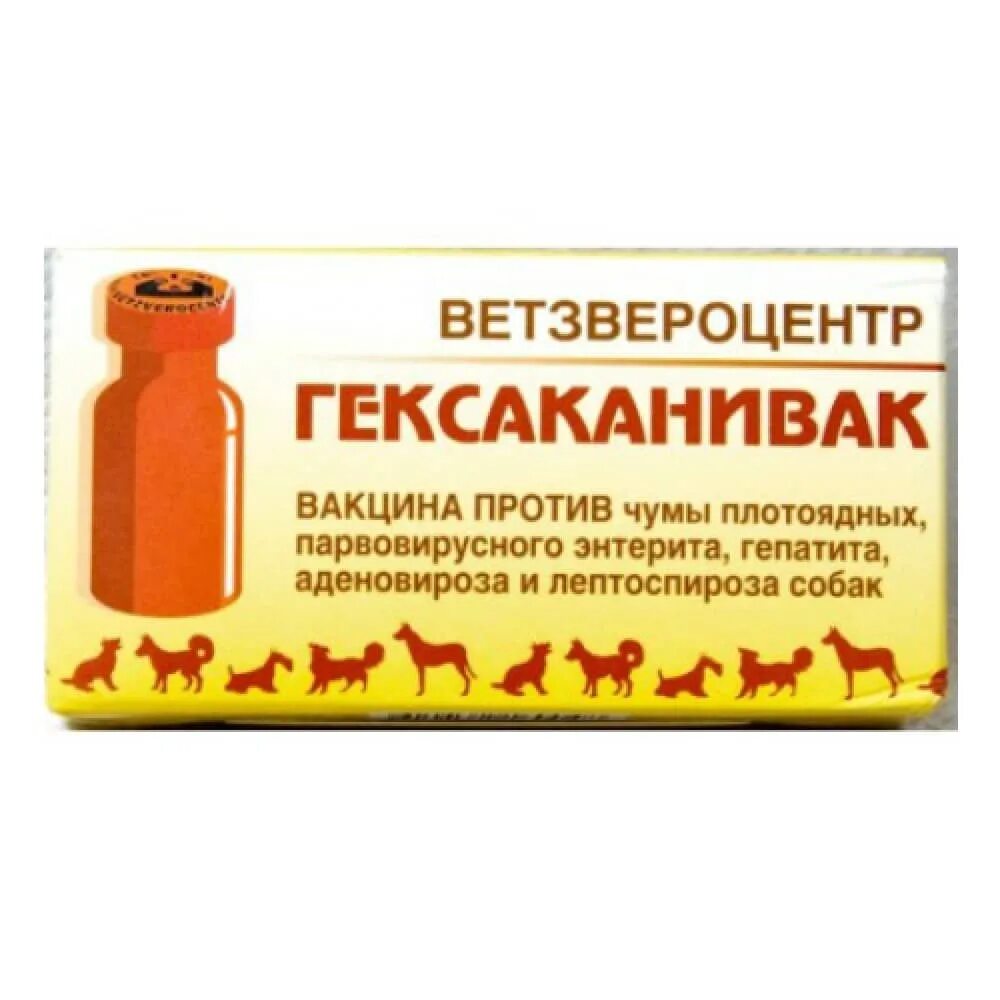 Парвовирусный энтерит собак возбудитель. Парвовирусный энтерит вакцина. Парвовирусный энтерит вакцина. Парвовирусный энтерит вакцина. Астерион вакцина для собак dhppi l.