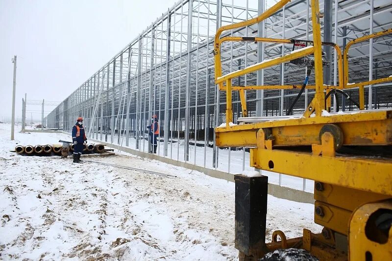 Ооо подмосковное. Тепличный комплекс в Воскресенске. ООО тепличный комплекс "Подмосковье". ООО ТК Подмосковье Воскресенск. Теплицы Ратмирово Воскресенск.