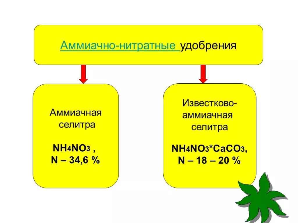 Аммиачная селитра сколько вносить. Формула аммиачной селитры удобрение. Аммиачные и аммиачно нитратные удобрения. Удобрение нитрат аммония (аммиачная селитра) nh4no3. Подкормка аммиачной селитрой.