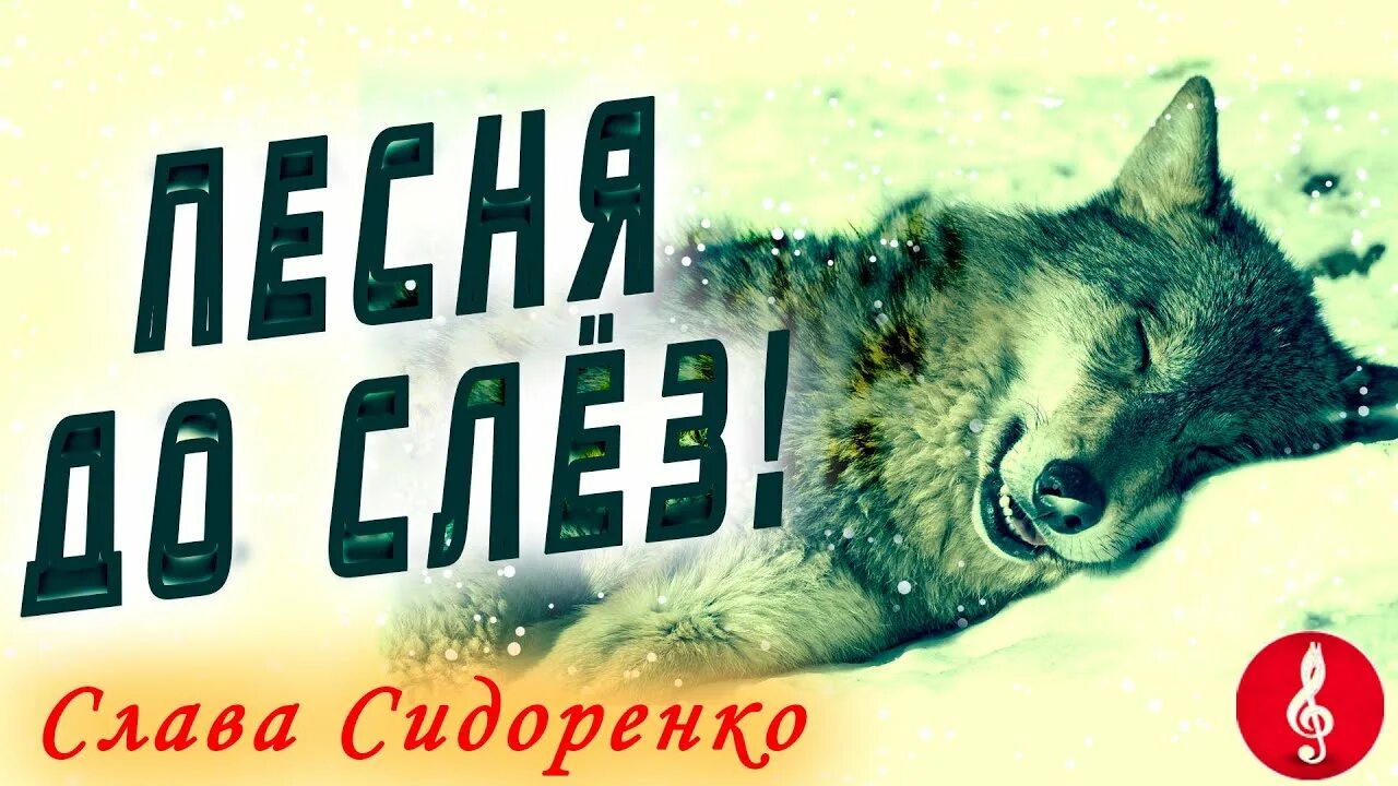 Сидоренко волк песня. Сидоренко волк погибшей империи. Дыхание волка. Волки песня. Дыхание волка.