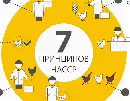 7 принципов