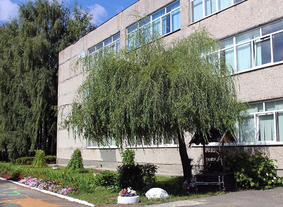 Радужненская музыкальная школа педагоги. Моу радужненская сош. Радужненская сош коломна. Файзуллин гаптерауф радужненская школа. Учителя моу радужненской сош.