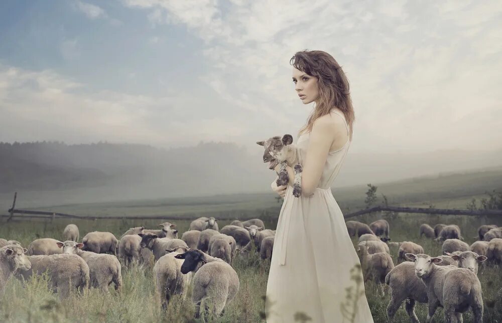 Lady sheep