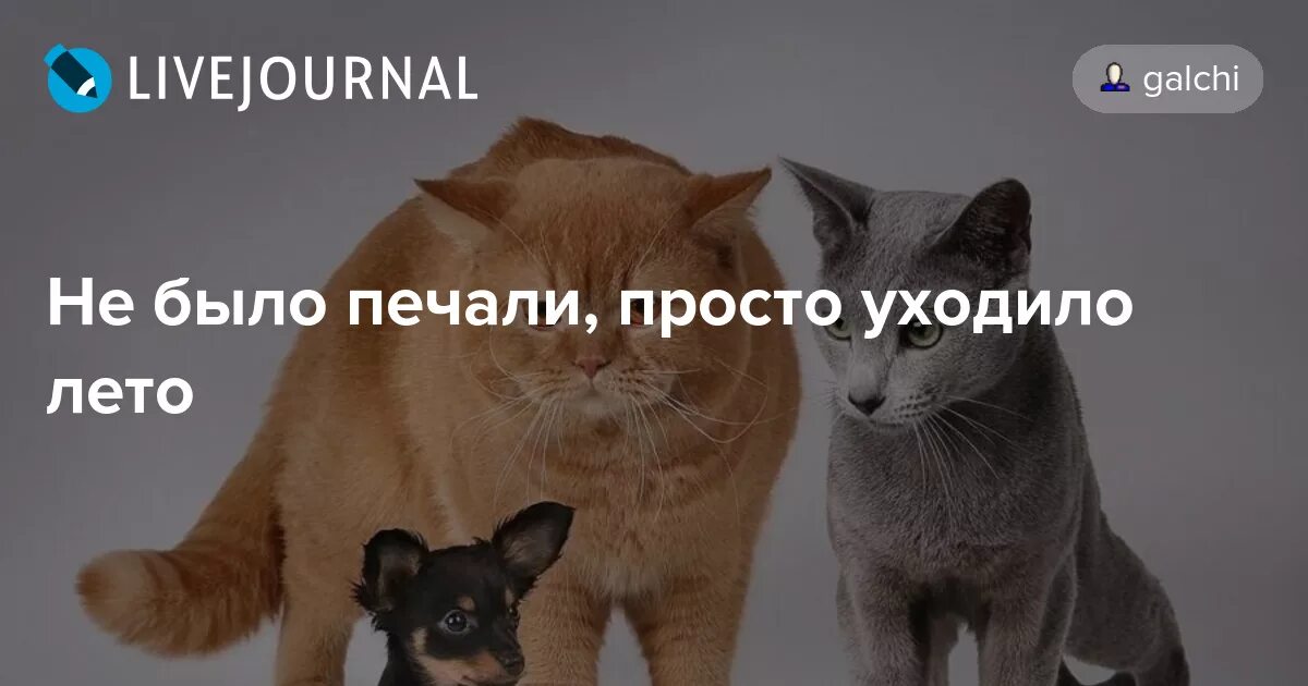 Чтоб не было печали. Чтоб не было печали