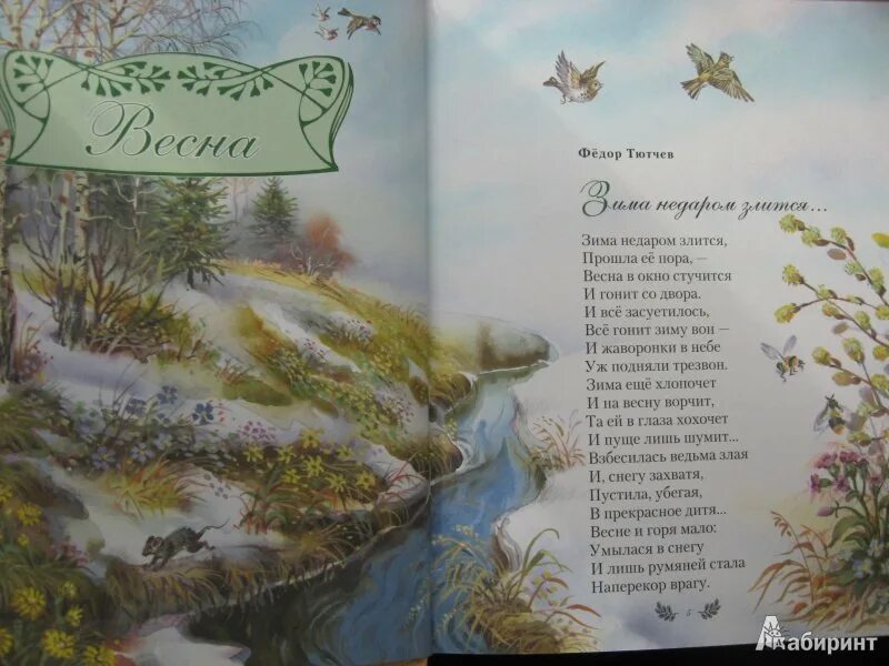 Стихи о природе о время года. Времена года стихи русских поэтов. Стихотворение русских поэтов. Времена года стихи русских поэтов. Стихи о природе о время года.