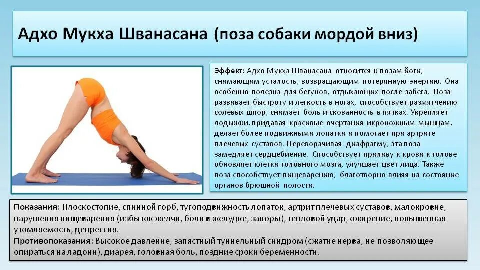 Как правильно делать собаку мордой вниз йога. Асана собака мордой вниз йога. Адхо мукха шванасана поза собаки мордой вниз. Адхо мукха шванасана (собака мордой вниз). Упражнение собака мордой вниз.