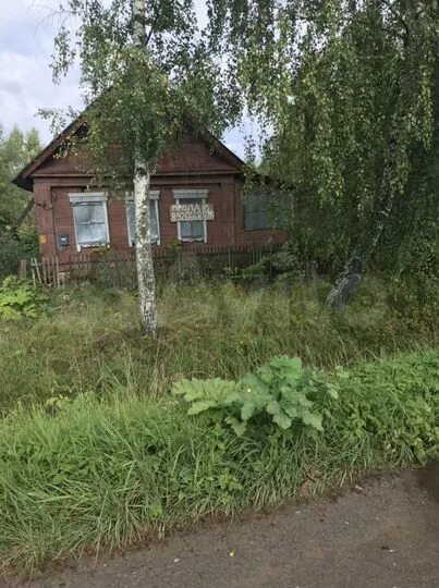 Шорново тверская область. Заполок. Заполок. Заполок тверская область. Огороды в редкино.
