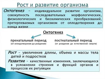 Формирование организма