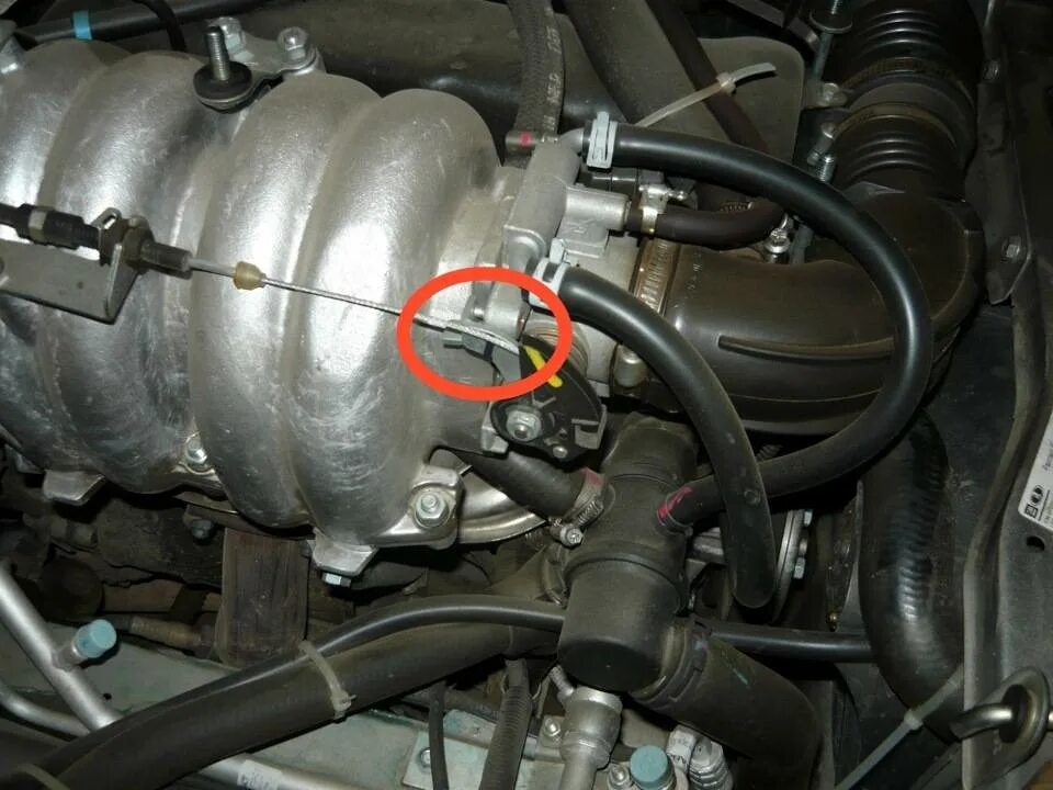 Датчик холостого хода 2131. Форсунка холодного старта ваз 2114. Обороты шевроле нива. 21214 глохнет. Шланг холостого хода нива шевроле.