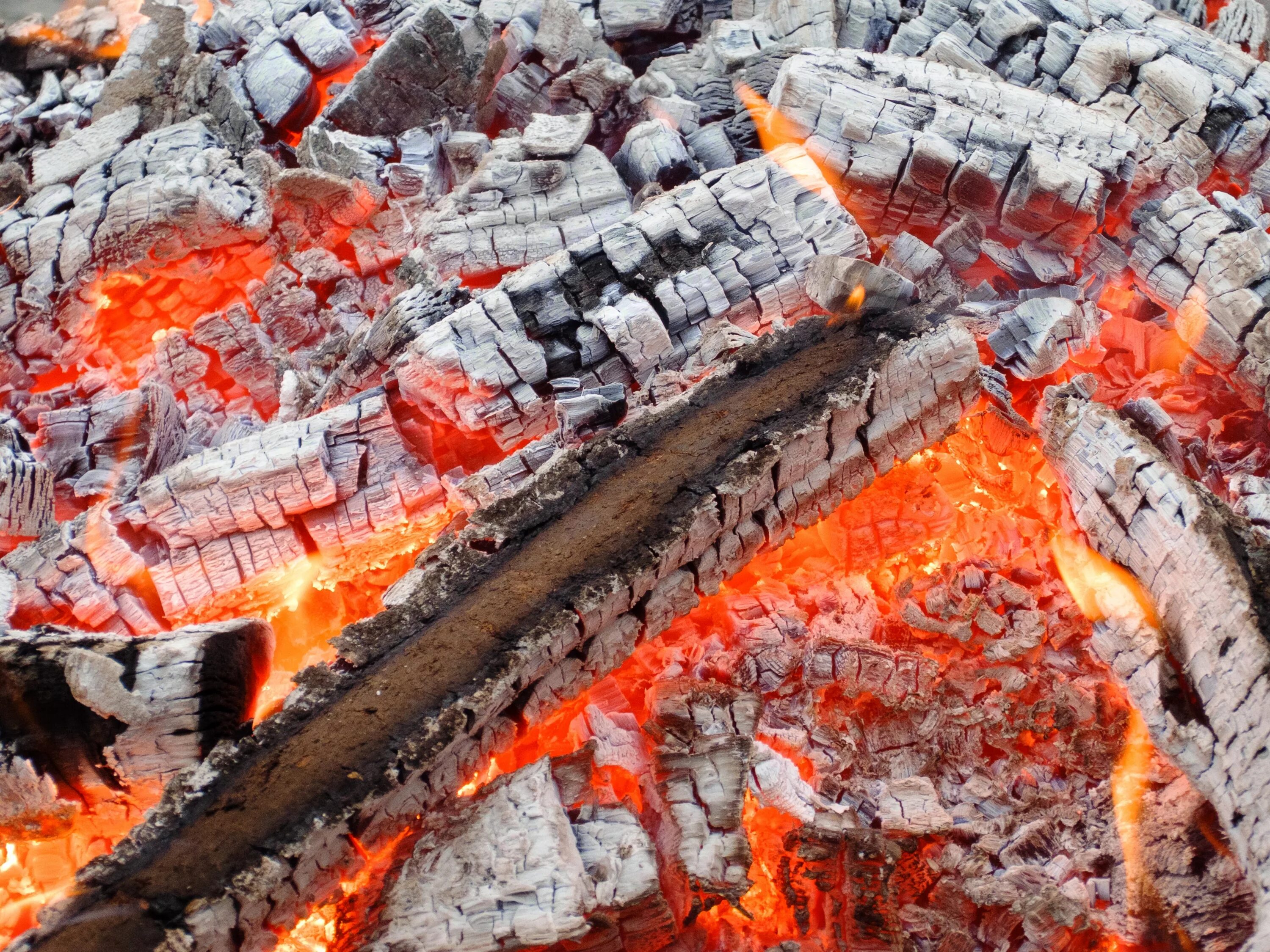 Сгоревшее мясо. РАСКАЛЕННЫЙ древесный уголь. Горящие угли. Уголь древесный горит. Раскаленные дрова.